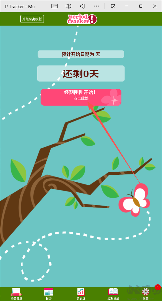 P Tracker经期记录
