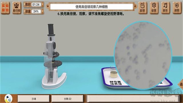 虚拟实验