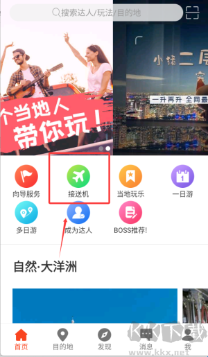 8只小猪