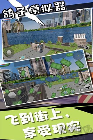 鸽子模拟器