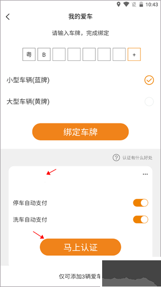 小猫爱车