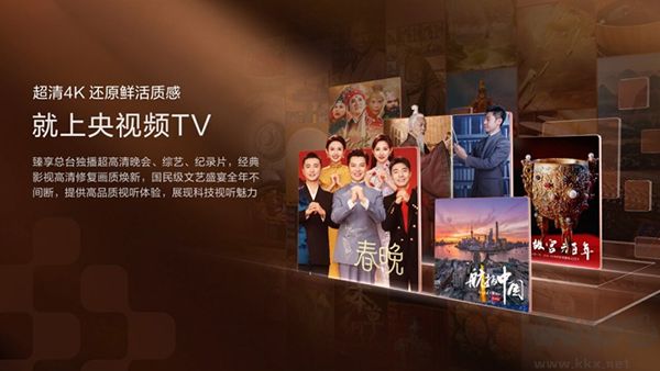 央视频TV版