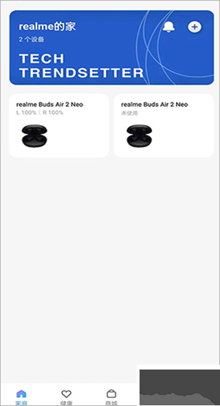 realme link