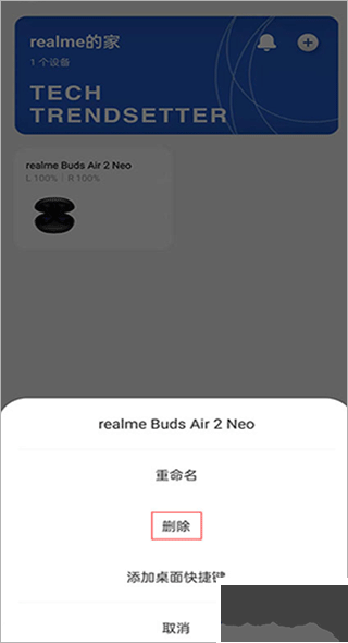 realme link