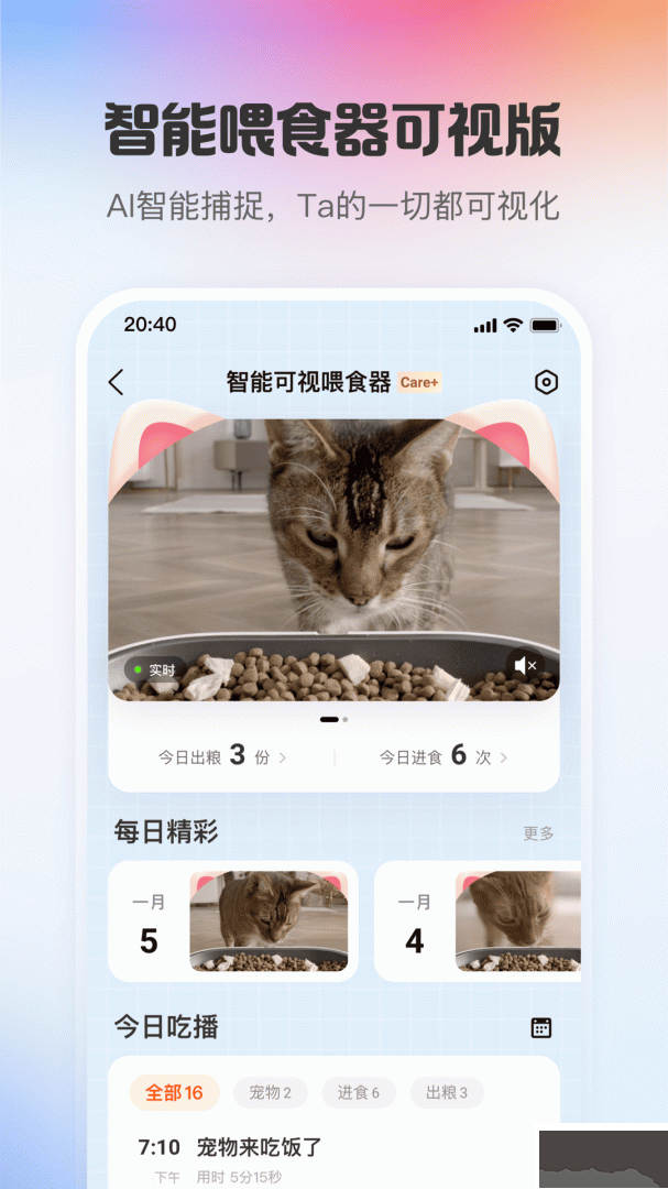 小佩宠物