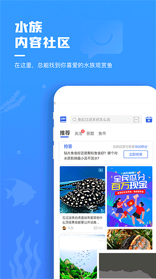 鲲天下养鱼