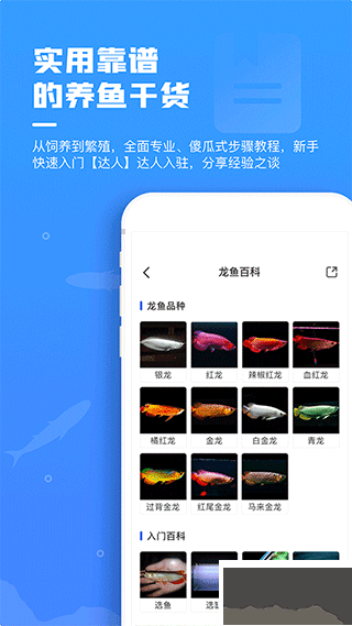 鲲天下养鱼