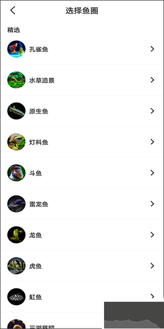 鲲天下养鱼