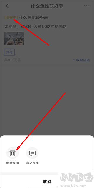 鲲天下养鱼