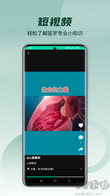 医维度解剖