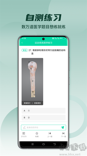 医维度解剖