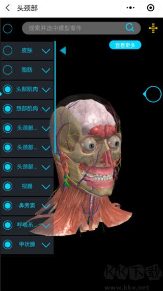 医维度解剖