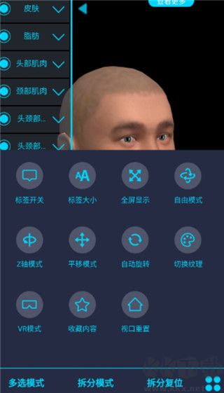 医维度解剖