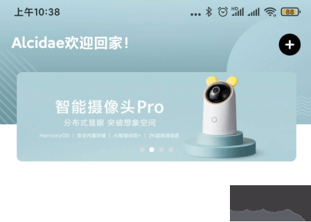 海雀app
