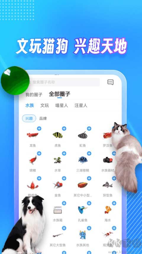 龙巅app