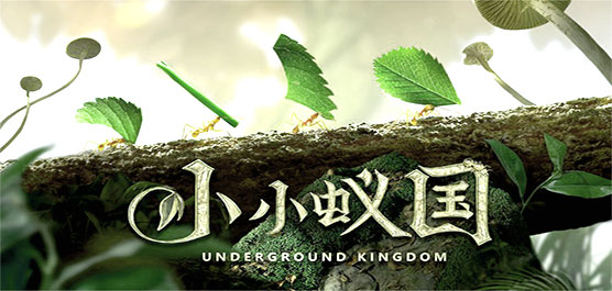 小小蚁国版本大全-小小蚁国版本大全合集-小小蚁国版本大全推荐