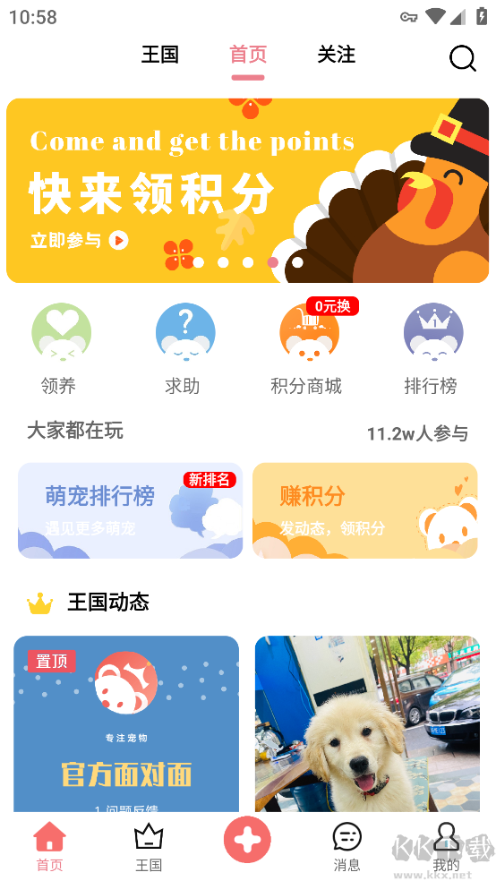 宠物王国