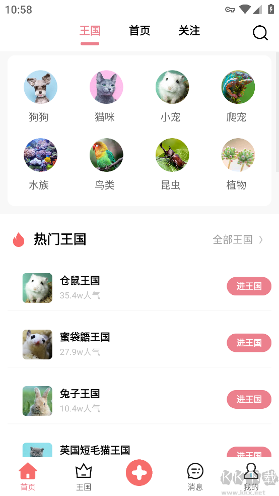 宠物王国