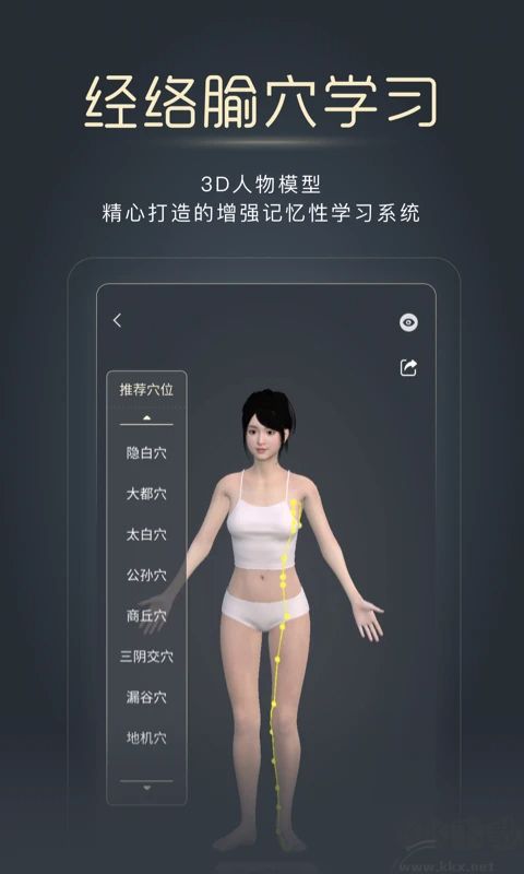 经脉宝软件