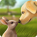 宠物世界3D我的动物救援(My Animal Shelter)v5.6.21中文版
