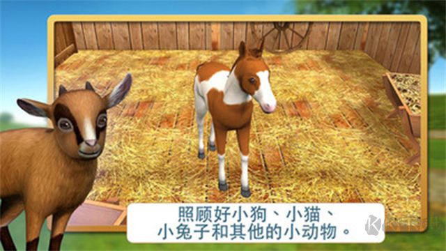 宠物世界3D我的动物救援(My Animal Shelter)