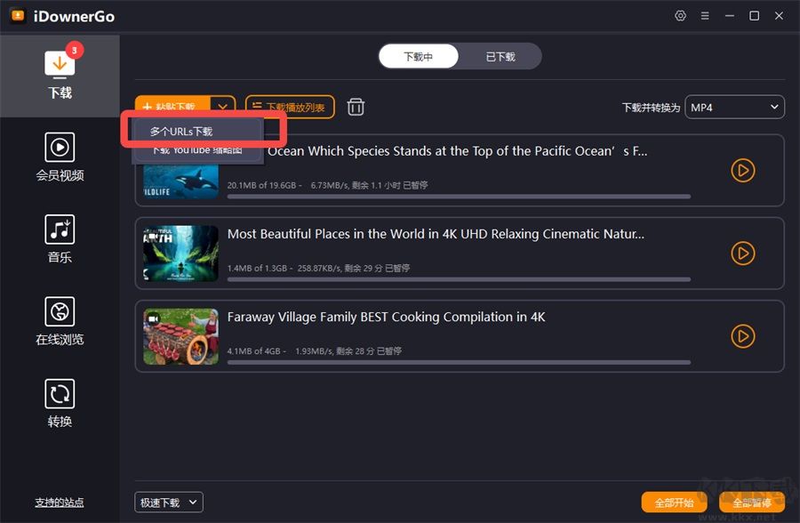 iDownerGo(视频下载工具)