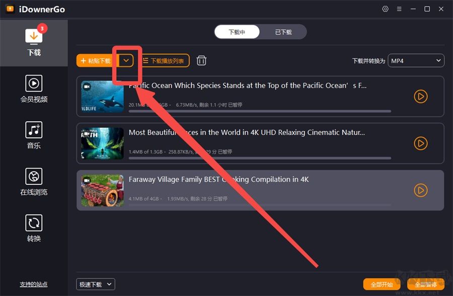 iDownerGo(视频下载工具)