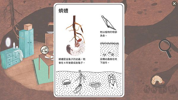 小棕鼠的自然生态百科