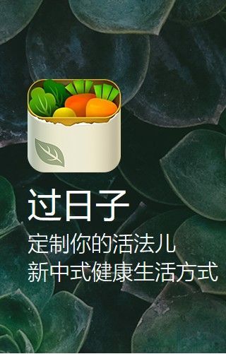 过日子软件