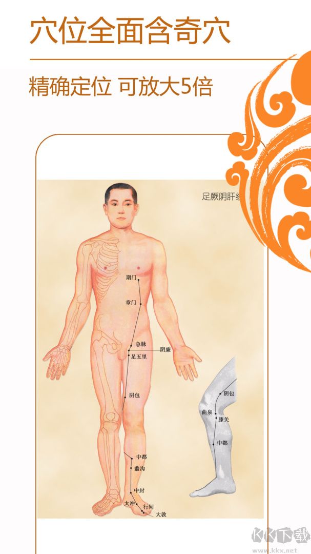 经络养生