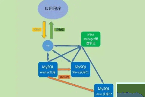 mysql数据库