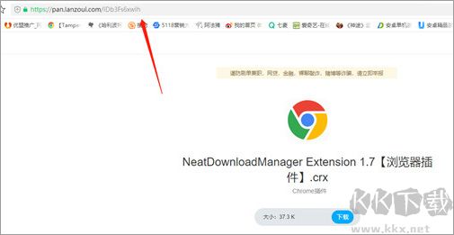 neat download manager(ndm下载器)