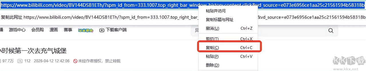 4K Downloader(下载软件)