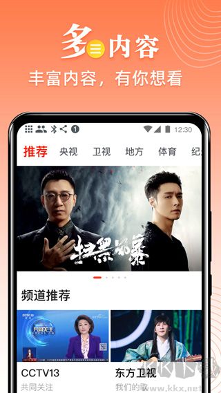 爱看电视tv