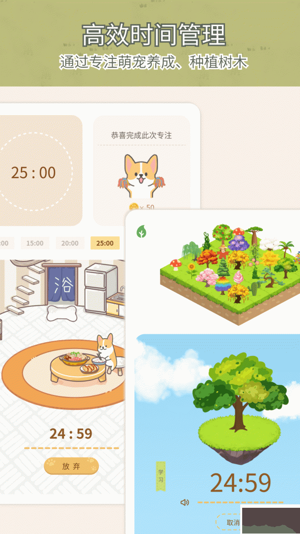 Todo计划
