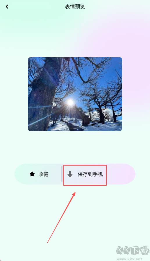 主题猫