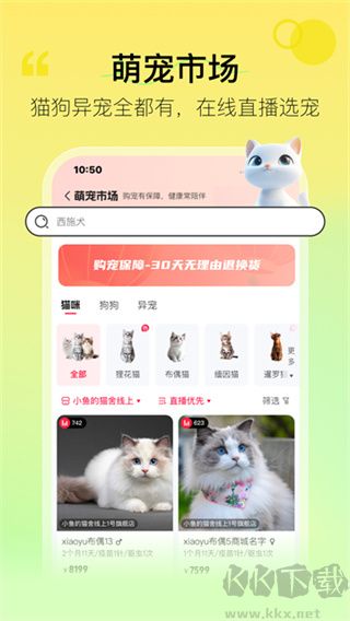 宠胖胖app