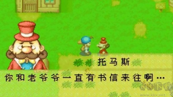 牧场物语矿石镇的伙伴们