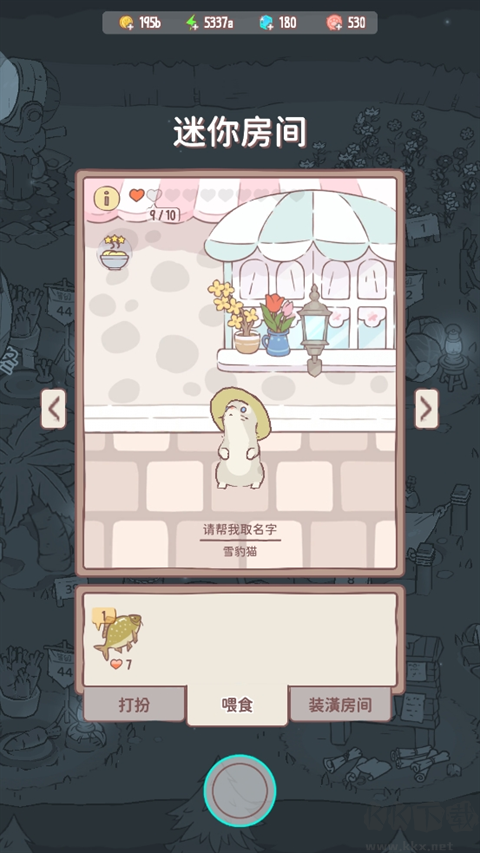 猫咪和汤