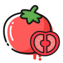 番茄轻断食app安卓版v3.4.21官方版
