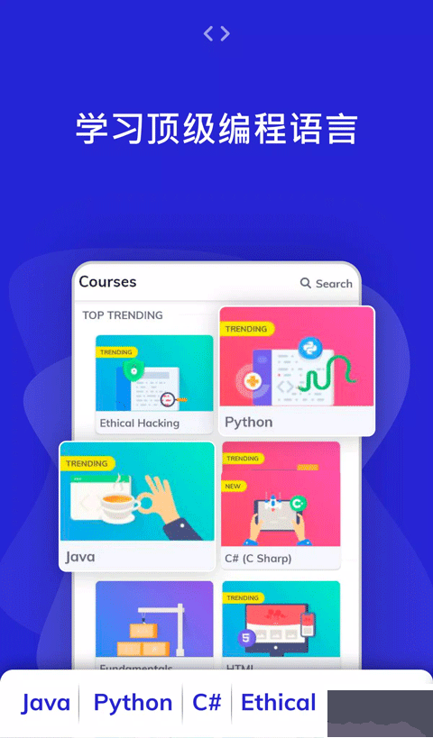 programming hub