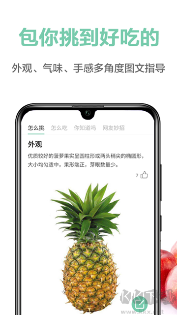 果蔬百科