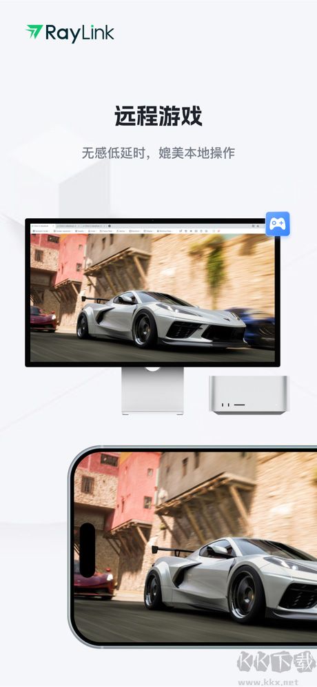 RayLink