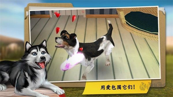 我的寄宿狗屋(DogHotel)