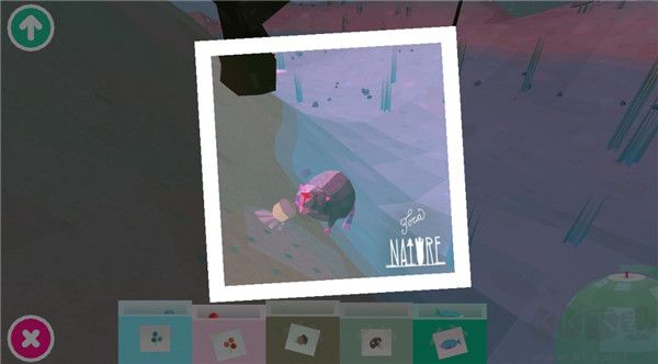 托卡大自然(Toca Nature)