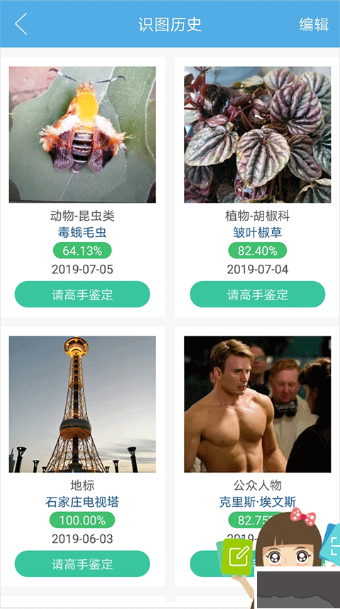 慧眼识图