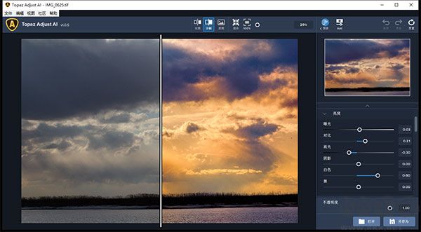 Topaz Adjust AI