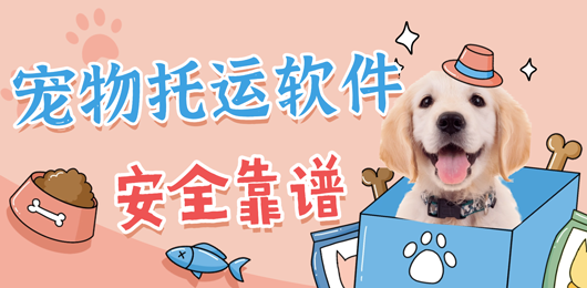 宠物托运软件合集-解决宠物跨城问题-可以托运宠物的软件推荐