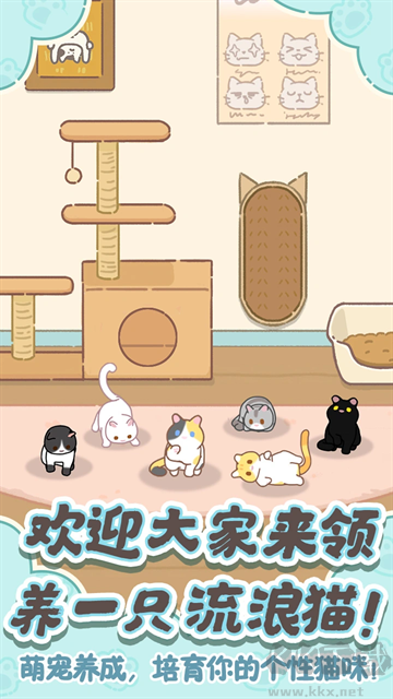 领养一只流浪猫
