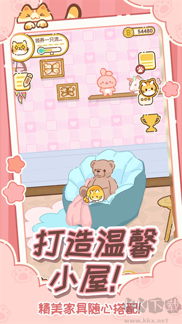 领养一只流浪猫